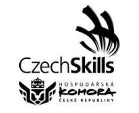 Czech skills